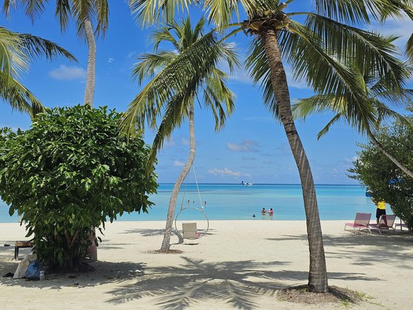 Quelles sont les meilleures pratiques pour un tourisme responsable et éthique ?